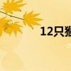 12只猴子第五季（12只猴子）