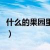 什么的果园里结满了什么的果子（什么的果子）