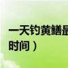 一天钓黄鳝最佳时间是几点（一天钓黄鳝最佳时间）