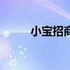 小宝招商是做什么的（小宝招商）
