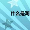 什么是淘宝客户端（什么是淘宝客）