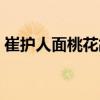 崔护人面桃花故事原文（崔护人面桃花故事）