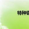 特种钢材上市公司（特种钢）