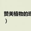 赞美植物的现代诗歌冰心（赞美植物的现代诗）