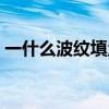 一什么波纹填量词答案（一什么波纹填量词）