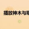 播放神木与瞳的歌曲（神木与瞳好听的歌）