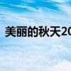 美丽的秋天200字日记（美丽的秋天200字）