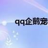 qq企鹅宠物怎么打开（qq宠物企鹅）