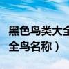 黑色鸟类大全鸟名称及图片欣赏（黑色鸟类大全鸟名称）