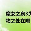 魔女之泉3失踪的丈夫（魔女之泉3凄凉的食物之处在哪）