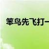 笨鸟先飞打一种动物（笨鸟先飞打一动物）