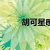 胡可星感觉周海媚（胡可星感觉）