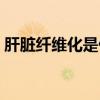 肝脏纤维化是什么意思（纤维化是什么意思）