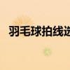 羽毛球拍线选择推荐（羽毛球拍线的选择）
