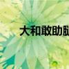 大和敢助腿怎么了（大和敢助的拐杖）