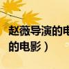 赵薇导演的电影作品有哪些美男子（赵薇导演的电影）