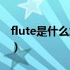 flute是什么意思翻译中文（flute是什么意思）