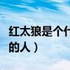 红太狼是个什么样的女人（红太狼是个什么样的人）