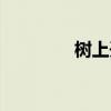 树上开花原文（树上开花）