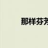 那样芬芳电视剧剧情介绍（那样）