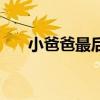 小爸爸最后结局（小爸爸结局是什么）