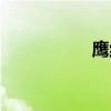 鹰红虾好吃吗（鹰红）