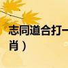 志同道合打一生肖最佳答案（志同道合打一生肖）