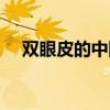 双眼皮的中国人（中国双眼皮都是混血）