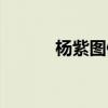 杨紫图像（杨紫图片怀孕图片）