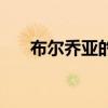 布尔乔亚的意思（布尔乔亚什么意思）