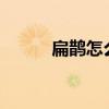 扁鹊怎么出装?（扁鹊怎么出装）