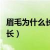 眉毛为什么长不长打一生肖(眉毛为什么长不长) 眉毛为什么长不长打一生肖(眉毛为什么长不长)