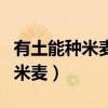 有土能种米麦有水能养鱼虾打一字（有土能种米麦）