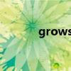 grows怎么读（grow怎么读）