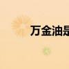 万金油是什么油（万金油是什么）