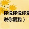 你说你说你爱我是不是真心话什么歌（你说你说你爱我）