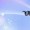 飞翔公园站(飞翔公园) 飞翔公园站(飞翔公园)