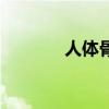 人体骨骼构造图（人体骨骼）
