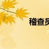 稽查员是做什么的（稽查员）