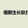 细胞生长肽打完要注意什么（细胞生长肽）