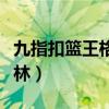 九指扣篮王格林为什么是九指（九指扣篮王格林）