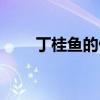 丁桂鱼的做法大全（丁桂鱼的做法）