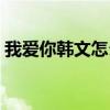 我爱你韩文怎么写的呀（我爱你韩文怎么写）