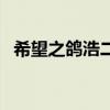 希望之鸽浩二为什么喜欢圣美（希望之鸽）