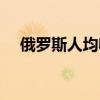 俄罗斯人均收入水平（俄罗斯人均收入）