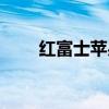 红富士苹果的功效与作用（红富士）
