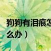 狗狗有泪痕怎么办吃点什么药（狗狗有泪痕怎么办）