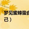 梦见蜜蜂蛰自己脸是什么预兆（梦见蜜蜂蛰自己）