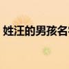姓汪的男孩名字简单大气（姓汪的男孩名字）