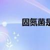 固氮菌是自养微生物吗（固氮菌）